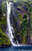 waterfall2.jpg (69565 bytes)